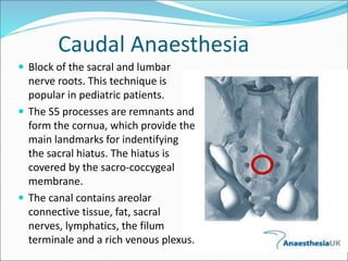 Caudal Anaesthesia
 Block of the sacral and lumbar
nerve roots. This technique is
popular in pediatric patients.
 The S5 processes are remnants and
form the cornua, which provide the
main landmarks for indentifying
the sacral hiatus. The hiatus is
covered by the sacro-coccygeal
membrane.
 The canal contains areolar
connective tissue, fat, sacral
nerves, lymphatics, the filum
terminale and a rich venous plexus.
 