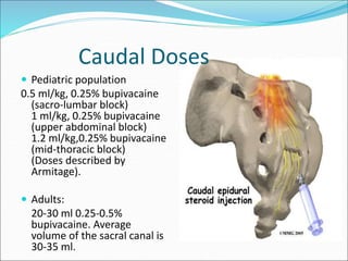 Caudal Doses
 Pediatric population
0.5 ml/kg, 0.25% bupivacaine
(sacro-lumbar block)
1 ml/kg, 0.25% bupivacaine
(upper abdominal block)
1.2 ml/kg,0.25% bupivacaine
(mid-thoracic block)
(Doses described by
Armitage).
 Adults:
20-30 ml 0.25-0.5%
bupivacaine. Average
volume of the sacral canal is
30-35 ml.
 