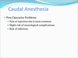 Caudal Anesthesia
 Post Operative Problems
 Pain at injection site is most common
 Slight risk of neurological complications
 Risk of infection
 
