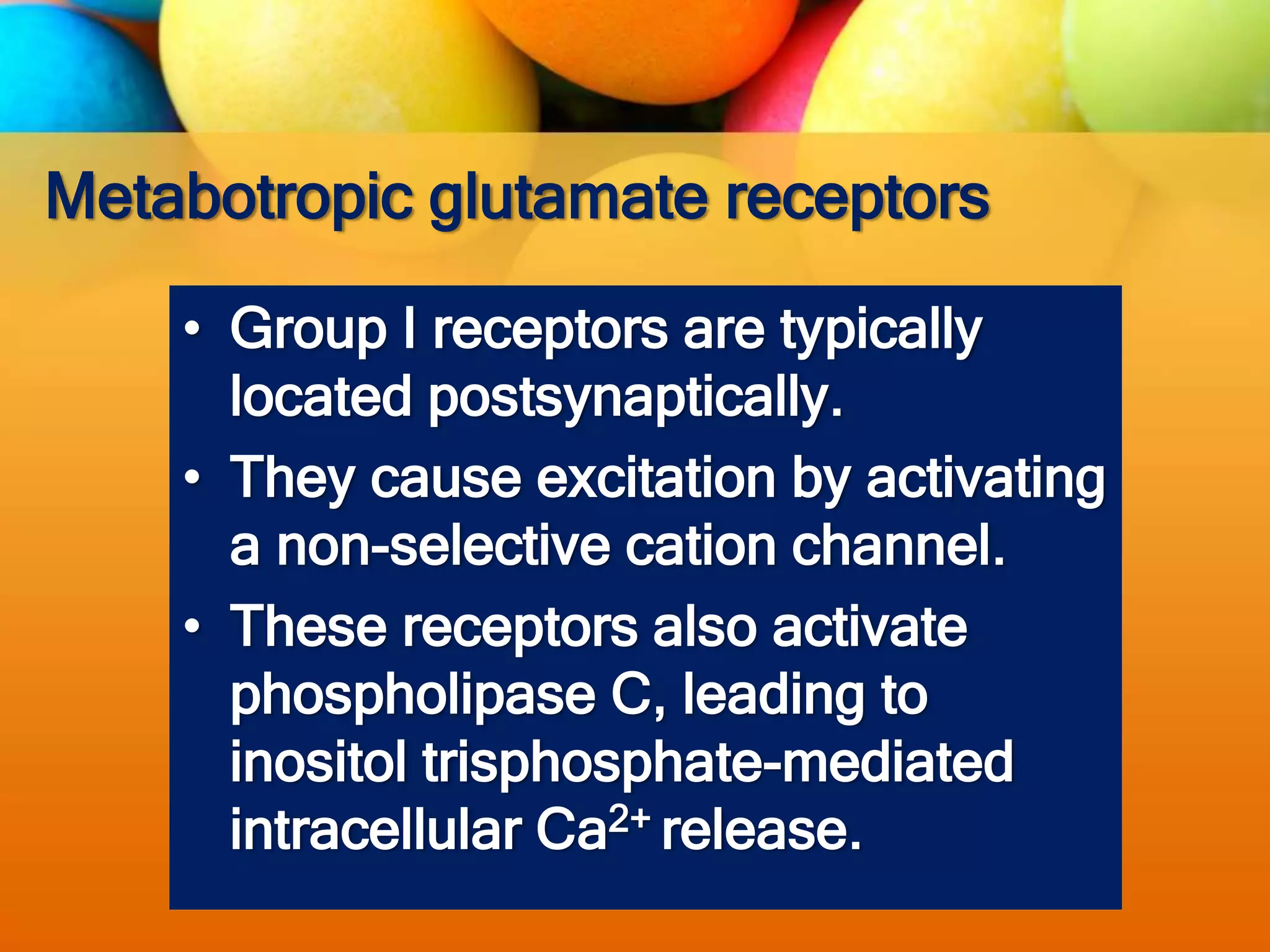 Metabotropic glutamate receptors
• Group I receptors are typically
located postsynaptically.
• They cause excitation by activating
a non-selective cation channel.
• These receptors also activate
phospholipase C, leading to
inositol trisphosphate-mediated
intracellular Ca2+ release.
 