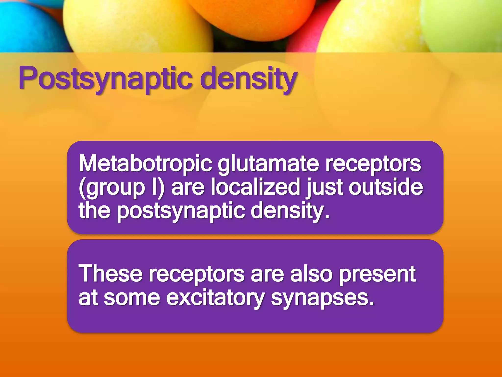 Postsynaptic density
Metabotropic glutamate receptors
(group I) are localized just outside
the postsynaptic density.
These receptors are also present
at some excitatory synapses.
 