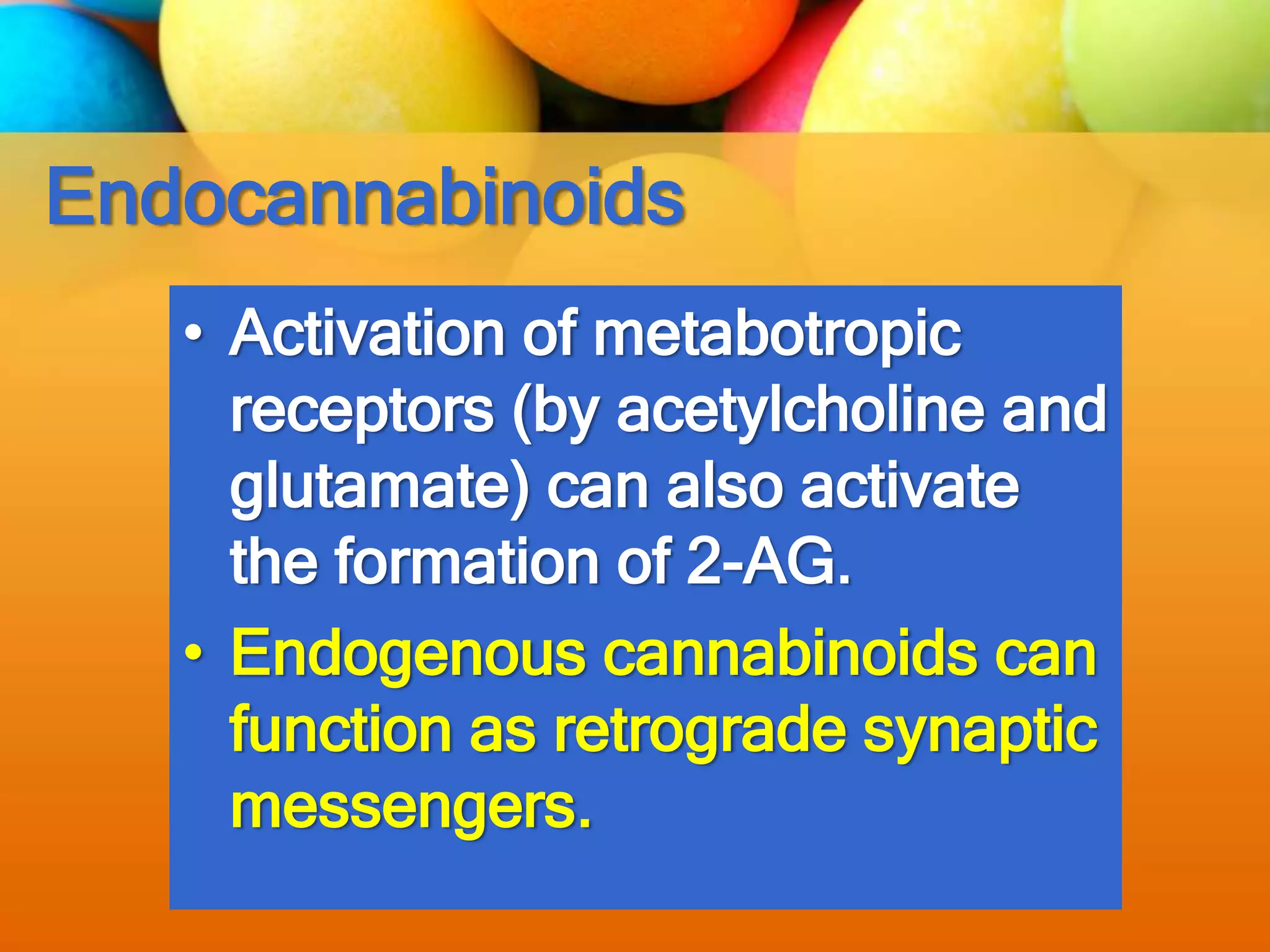 Endocannabinoids
• Activation of metabotropic
receptors (by acetylcholine and
glutamate) can also activate
the formation of 2-AG.
• Endogenous cannabinoids can
function as retrograde synaptic
messengers.
 