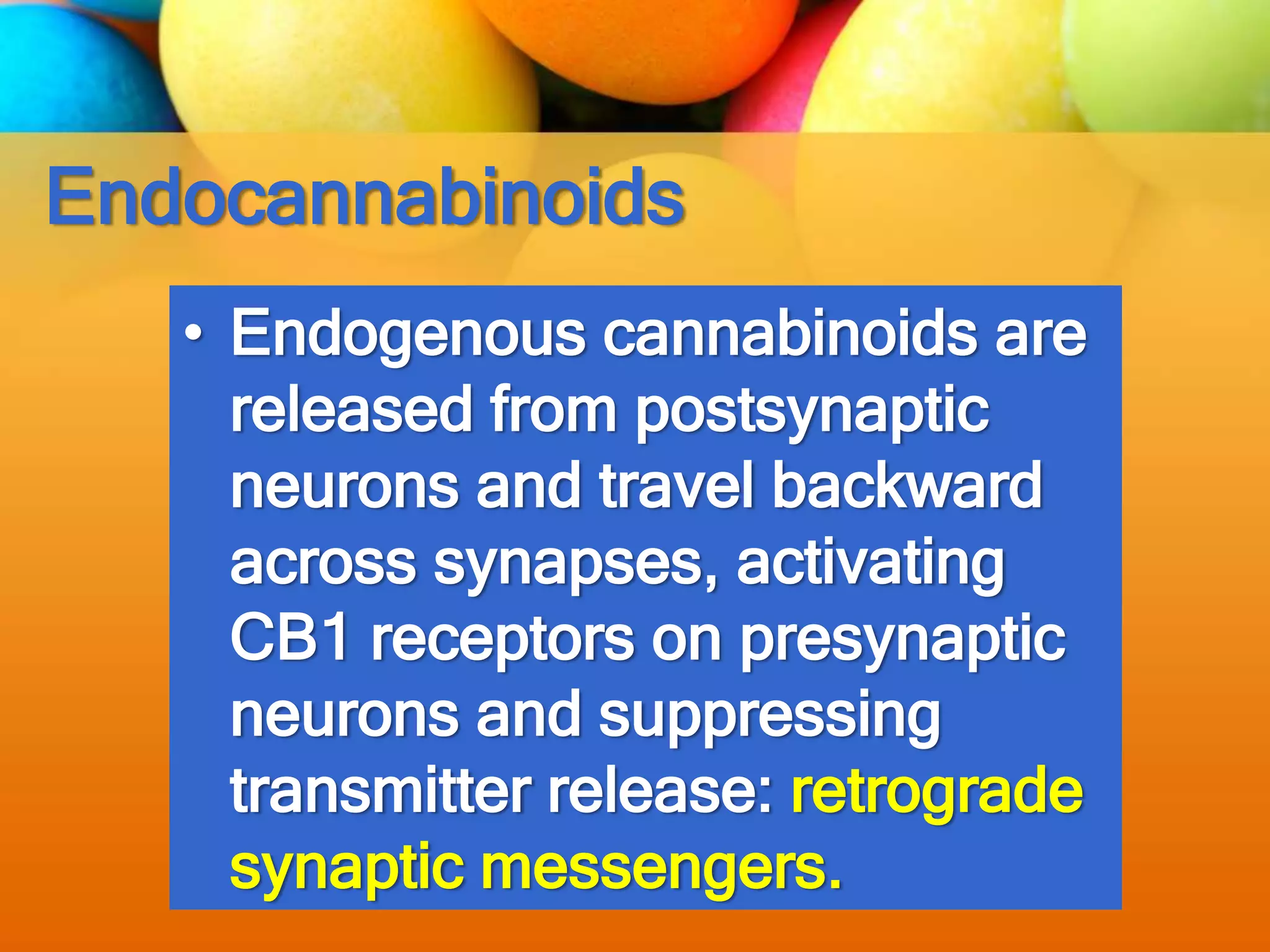 Endocannabinoids
• Endogenous cannabinoids are
released from postsynaptic
neurons and travel backward
across synapses, activating
CB1 receptors on presynaptic
neurons and suppressing
transmitter release: retrograde
synaptic messengers.
 