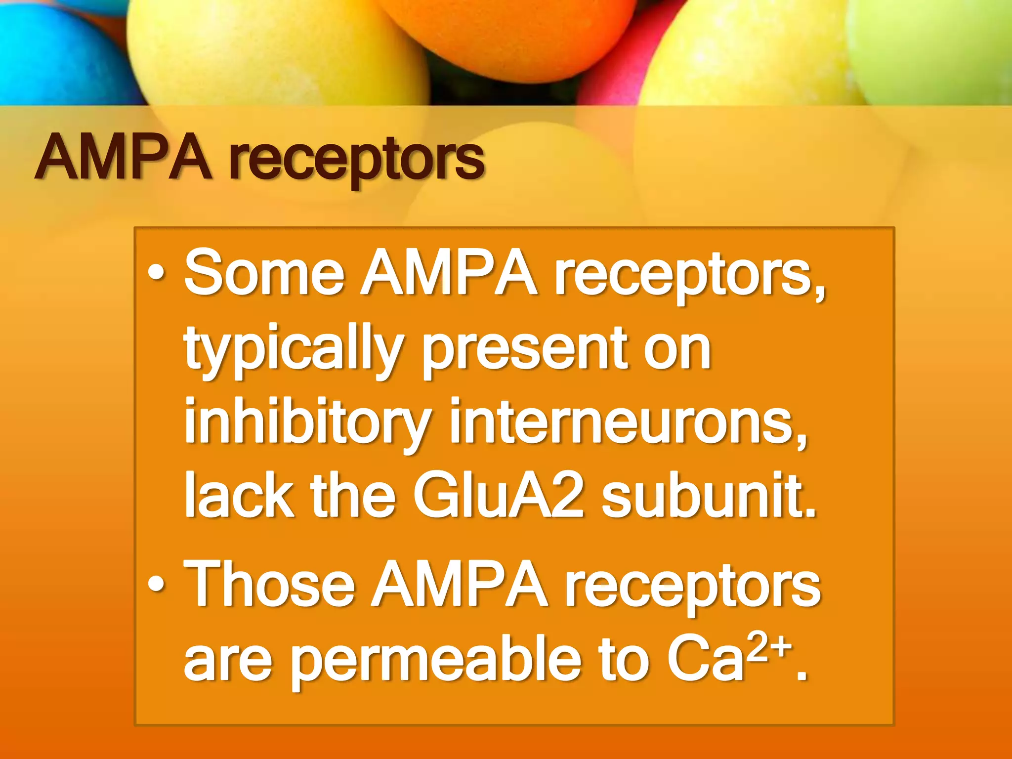 AMPA receptors
• Some AMPA receptors,
typically present on
inhibitory interneurons,
lack the GluA2 subunit.
• Those AMPA receptors
are permeable to Ca2+.
 