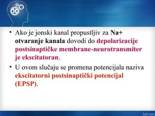 • Ako je jonski kanal propustljiv za Na+
otvaranje kanala dovodi do depolarizacije
postsinaptičke membrane-neurotransmiter
je ekscitatoran.
• U ovom slučaju se promena potencijala naziva
ekscitatorni postsinaptički potencijal
(EPSP).
 