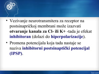 • Vezivanje neurotransmitera za receptor na
postsinapričkoj membrani može izazvati
otvaranje kanala za Cl- ili K+ -tada je efekat
inhibitoran (dolazi do hiperpolarizacije).
• Promena potencijala koja tada nastaje se
naziva inhibitorni postsinaptički potencijal
(IPSP).
 