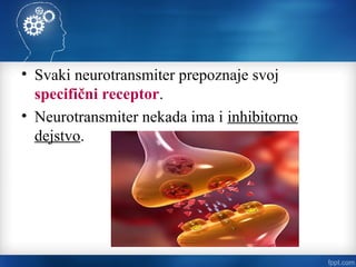 • Svaki neurotransmiter prepoznaje svoj
specifični receptor.
• Neurotransmiter nekada ima i inhibitorno
dejstvo.
 