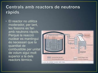 • El reactor no utilitza
  moderador, per tant,
  les fissions es fan
  amb neutrons ràpids.
  Perquè la reacció
  nuclear es mantingui
  és necessari que la
  quantitat de
  combustible per unitat
  de volum sigui molt
  superior a la dels
  reactors tèrmics.
 