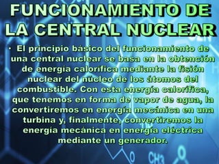 Central nuclear