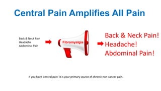 Back & Neck Pain
Headache
Abdominal Pain
Back & Neck Pain!
Headache!
Abdominal Pain!
Central Pain Amplifies All Pain
If you have ‘central pain’ it is your primary source of chronic non-cancer pain.
Fibromyalgia
 