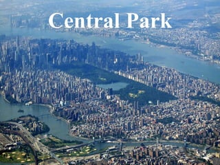 Central   Park 