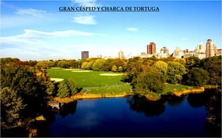 GRAN CÉSPED Y CHARCA DE TORTUGA
 