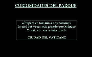 CURIOSIDADES DEL PARQUE
Supera en tamaño a dos naciones.
Es casi dos veces más grande que Mónaco
Y casi ocho veces más que la
CIUDAD DEL VATICANO
 