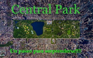 Central Park
Un paseo para sorprenderse!!!!
 