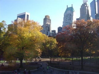 CENTRAL PARK