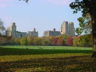 CENTRAL PARK