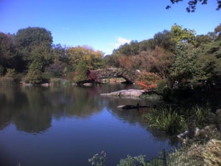CENTRAL PARK