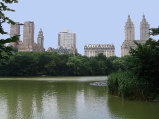 CENTRAL PARK