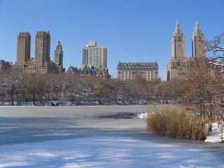 CENTRAL PARK