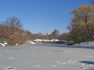 CENTRAL PARK