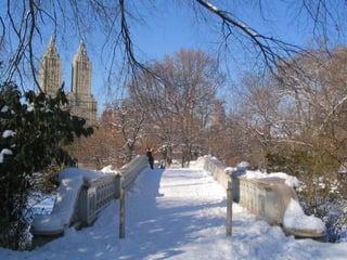CENTRAL PARK