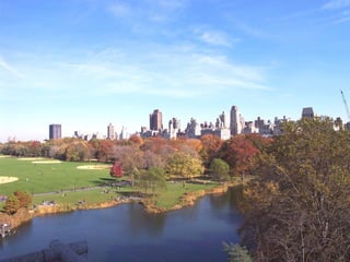 CENTRAL PARK