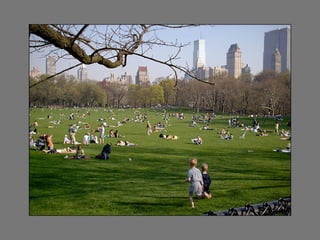 CENTRAL PARK