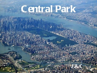 Central   Park J.A.C 