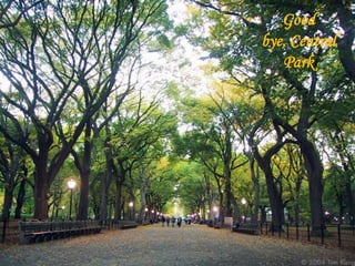 Good
bye, Central
   Park
 