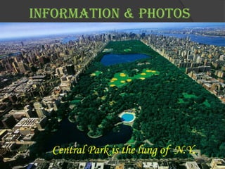INFORMATION & PHOTOS




  Central Park is the lung of N.Y.
 