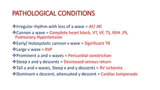 PATHOLOGICAL CONDITIONS
Irregular rhythm with loss of a wave = AF/ Afl
Cannon a wave = Complete heart block, VT, VF, TS, RVH ,PS,
Pulmonary Hypertension
Early/ Holosystolic cannon v wave = Significant TR
Large v wave = RVF
Prominent a and v waves = Pericardial constriction
Steep x and y descents = Decreased venous return
Tall a and v waves, Steep x and y descents = RV ischemia
Dominant x descent, attenuated y descent = Cardiac tamponade
 