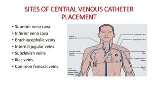 SITES OF CENTRAL VENOUS CATHETER
PLACEMENT
• Superior vena cava
• Inferior vena cava
• Brachiocephalic veins
• Internal jugular veins
• Subclavian veins
• Iliac veins
• Common femoral veins
 