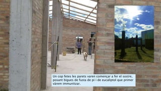 Un cop fetes les parets varen començar a fer el sostre,
posant bigues de fusta de pi i de eucaliptol que primer
vàrem immunitzar.
 