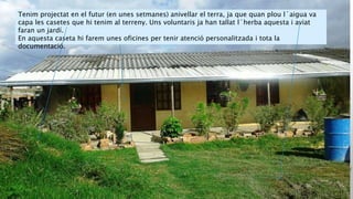 Tenim projectat en el futur (en unes setmanes) anivellar el terra, ja que quan plou l´aigua va
capa les casetes que hi tenim al terreny. Uns voluntaris ja han tallat l`herba aquesta i aviat
faran un jardí.
En aquesta caseta hi farem unes oficines per tenir atenció personalitzada i tota la
documentació.
 