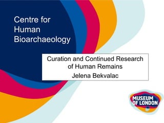 Centre for
Human
Bioarchaeology
Curation and Continued Research
of Human Remains
Jelena Bekvalac
 