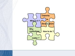 Institutional and Capacity Development | PPT