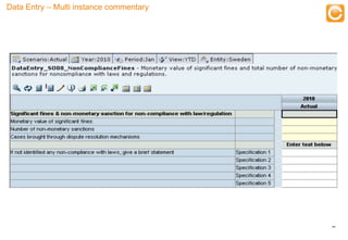 Data Entry – Multi instance commentary



                                                    Training




                                                               44


     Experts in Enterprise Performance Management
 