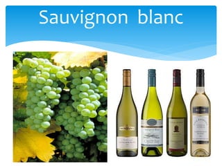 Sauvignon blanc
 