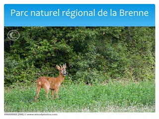 Parc naturel régional de la Brenne
 