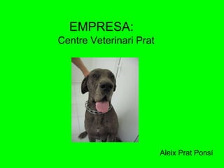 EMPRESA:   Centre Veterinari Prat Aleix Prat Ponsí 