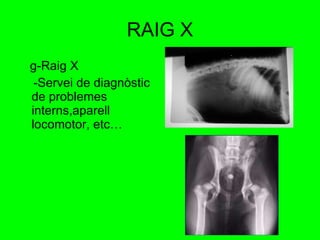 RAIG X g-Raig X -Servei de diagnòstic de problemes interns,aparell locomotor, etc… 