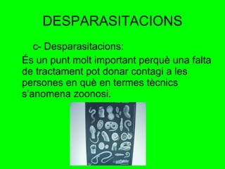 DESPARASITACIONS c- Desparasitacions: És un punt molt important perquè una falta de tractament pot donar contagi a les persones en què en termes tècnics s’anomena zoonosi.  