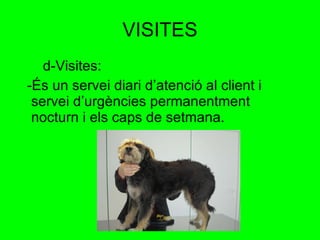 VISITES d-Visites: -És un servei diari d’atenció al client i  servei d’urgències permanentment nocturn i els caps de setmana.  
