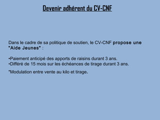 Devenir adhérent du CV-CNF



Dans le cadre de sa politique de soutien, le CV-CNF propose une
"Aide Jeunes" :

•Paiement anticipé des apports de raisins durant 3 ans.
•Différé de 15 mois sur les échéances de tirage durant 3 ans.
•Modulation entre vente au kilo et tirage   .
 