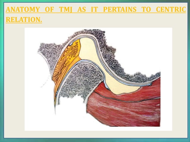 CENTRIC RELATION pptx centric-relation-pptx