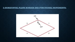 3) HORIZONTAL PLANE BORDER AND FUNCTIONAL MOVEMENTS:
 