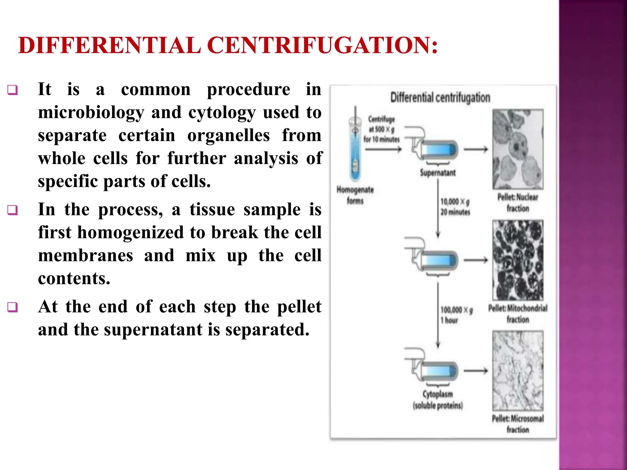 It is a common procedure in
microbiology and cytology used to
separate certain organelles from
whole cells for further analysis of
specific parts of cells.
 In the process, a tissue sample is
first homogenized to break the cell
membranes and mix up the cell
contents.
 At the end of each step the pellet
and the supernatant is separated.
 