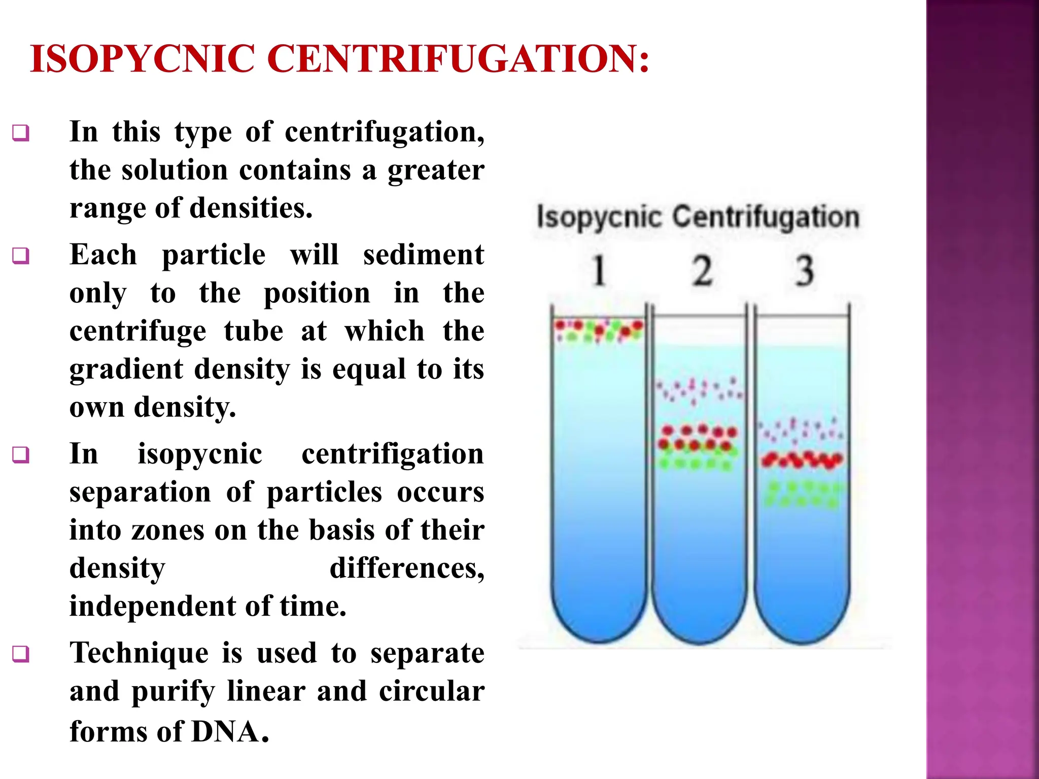  In this type of centrifugation,
the solution contains a greater
range of densities.
 Each particle will sediment
only to the position in the
centrifuge tube at which the
gradient density is equal to its
own density.
 In isopycnic centrifigation
separation of particles occurs
into zones on the basis of their
density differences,
independent of time.
 Technique is used to separate
and purify linear and circular
forms of DNA.
 