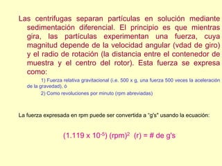 Las centrifugas separan partículas en solución mediante
sedimentación diferencial. El principio es que mientras
gira, las partículas experimentan una fuerza, cuya
magnitud depende de la velocidad angular (vdad de giro)
y el radio de rotación (la distancia entre el contenedor de
muestra y el centro del rotor). Esta fuerza se expresa
como:
1) Fuerza relativa gravitacional (i.e. 500 x g, una fuerza 500 veces la aceleración
de la gravedad), ó
2) Como revoluciones por minuto (rpm abreviadas)
La fuerza expresada en rpm puede ser convertida a “g's" usando la ecuación:
(1.119 x 10-5) (rpm)2 (r) = # de g's
 