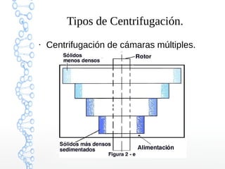 Tipos de Centrifugación.
●

Centrifugación de cámaras múltiples.

 